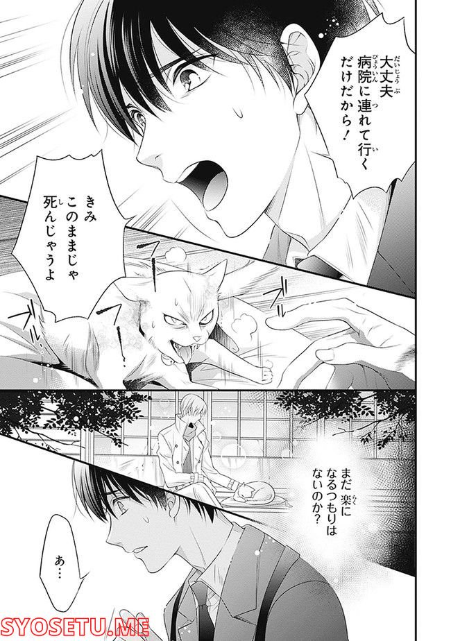 こはる日和とアニマルボイス 第1.1話 - Trang 161