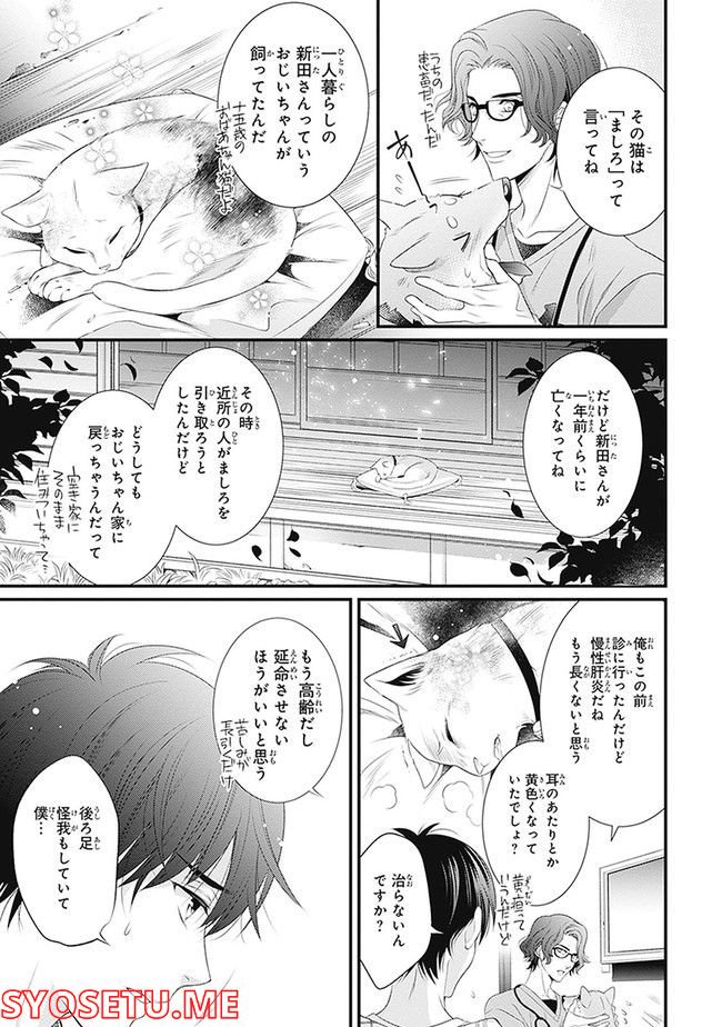 こはる日和とアニマルボイス 第1.1話 - Trang 167