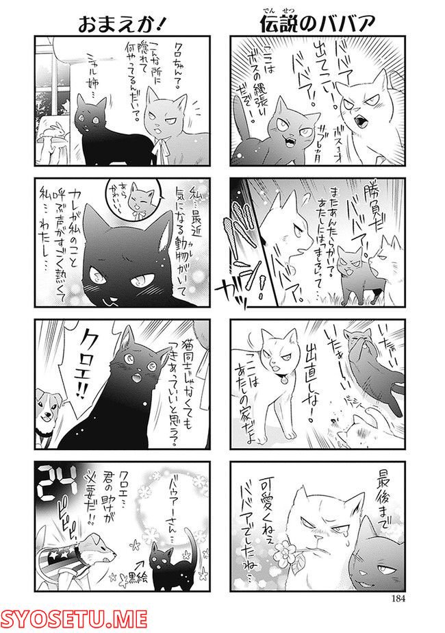こはる日和とアニマルボイス 第1.1話 - Trang 186