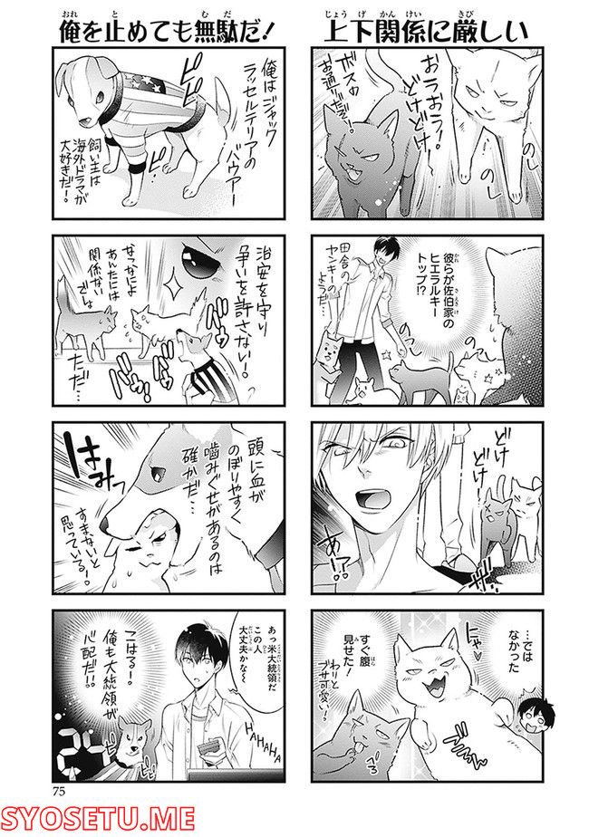 こはる日和とアニマルボイス 第1.1話 - Trang 77