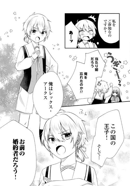 悪役令嬢に転生するも魔法に夢中でいたら王子に溺愛されました - 第1話 - Page 15