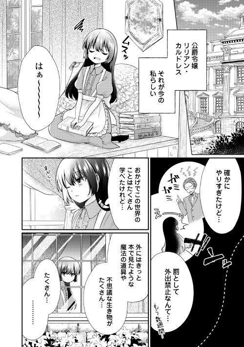 悪役令嬢に転生するも魔法に夢中でいたら王子に溺愛されました - 第1話 - Page 6