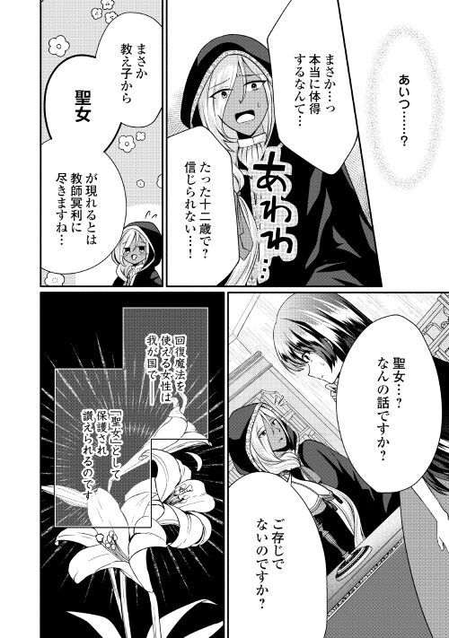 悪役令嬢に転生するも魔法に夢中でいたら王子に溺愛されました - 第3話 - Page 11