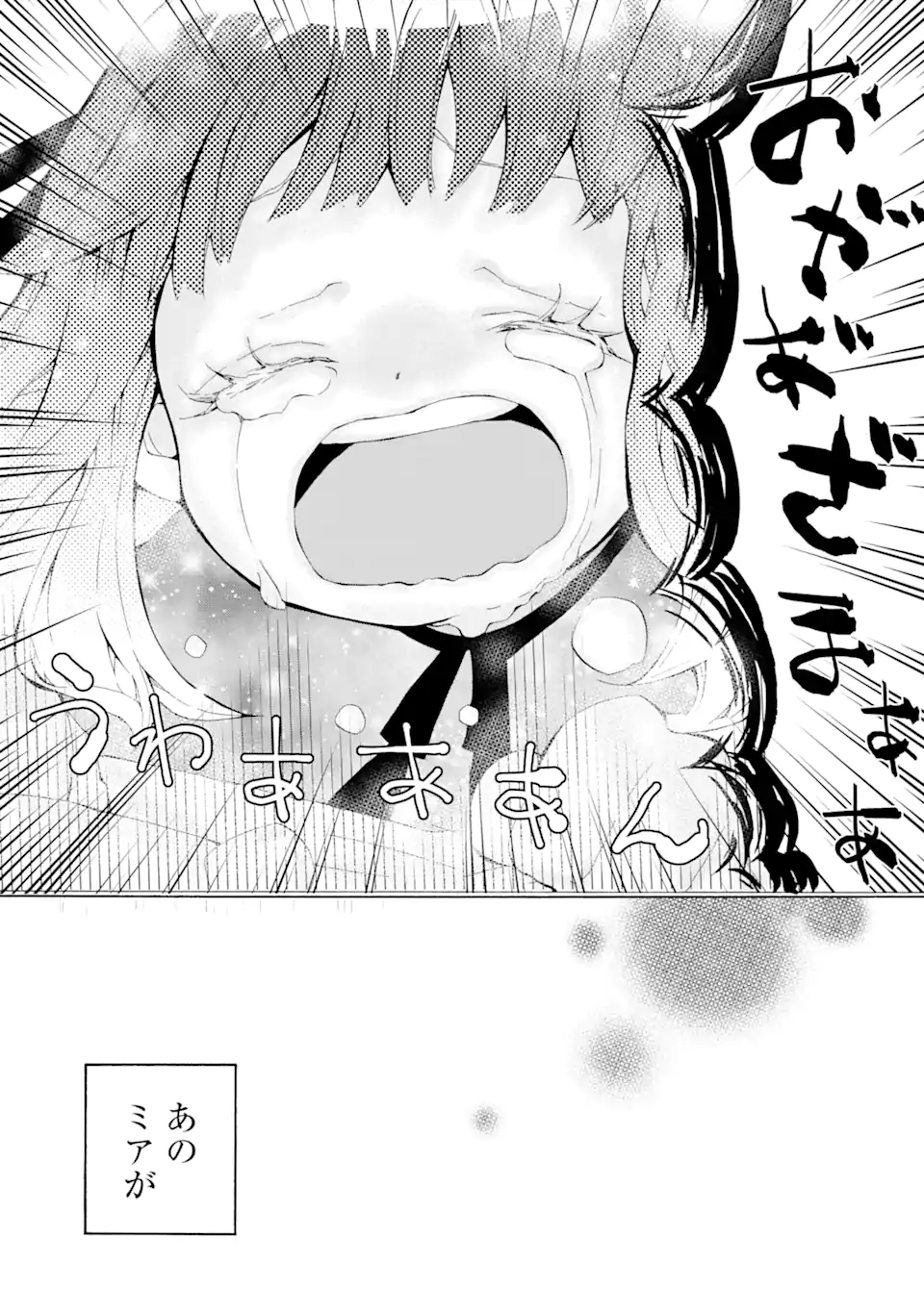 悪名高い領主に嫁ぐことになりましたが毎日幸せです 第1.3話 - Trang 17