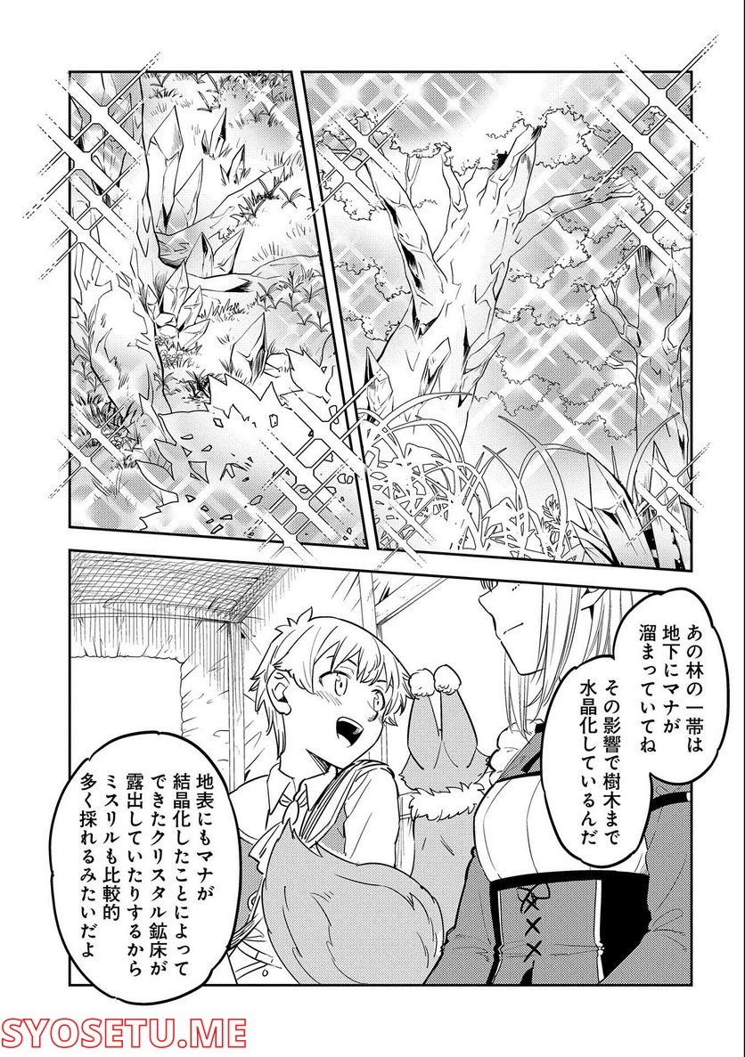 魔石屋アレキサンドライトへようこそ ～規格外魔石で商売繁盛～ 第5話 - Trang 3