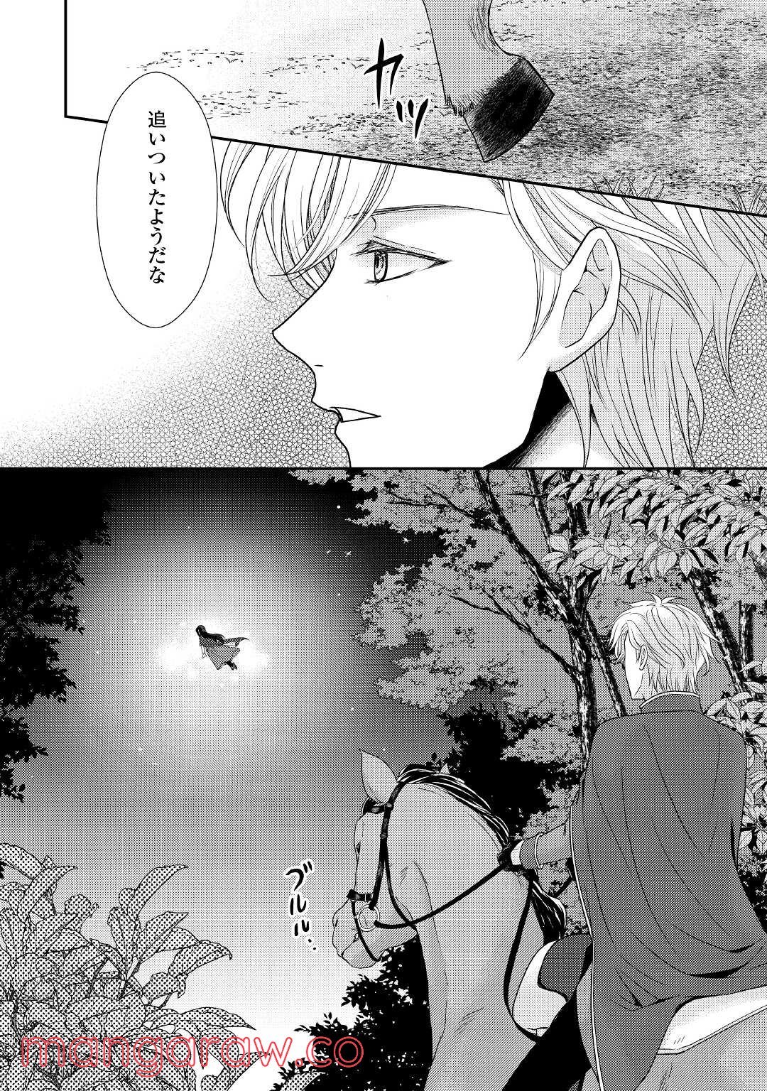 精霊守りの薬士令嬢は、婚約破棄を突きつけられたようです - 第1話 - Page 32