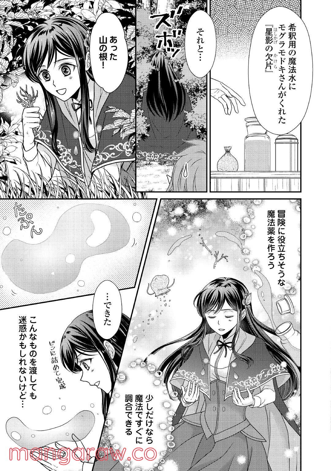 精霊守りの薬士令嬢は、婚約破棄を突きつけられたようです - 第2話 - Page 29