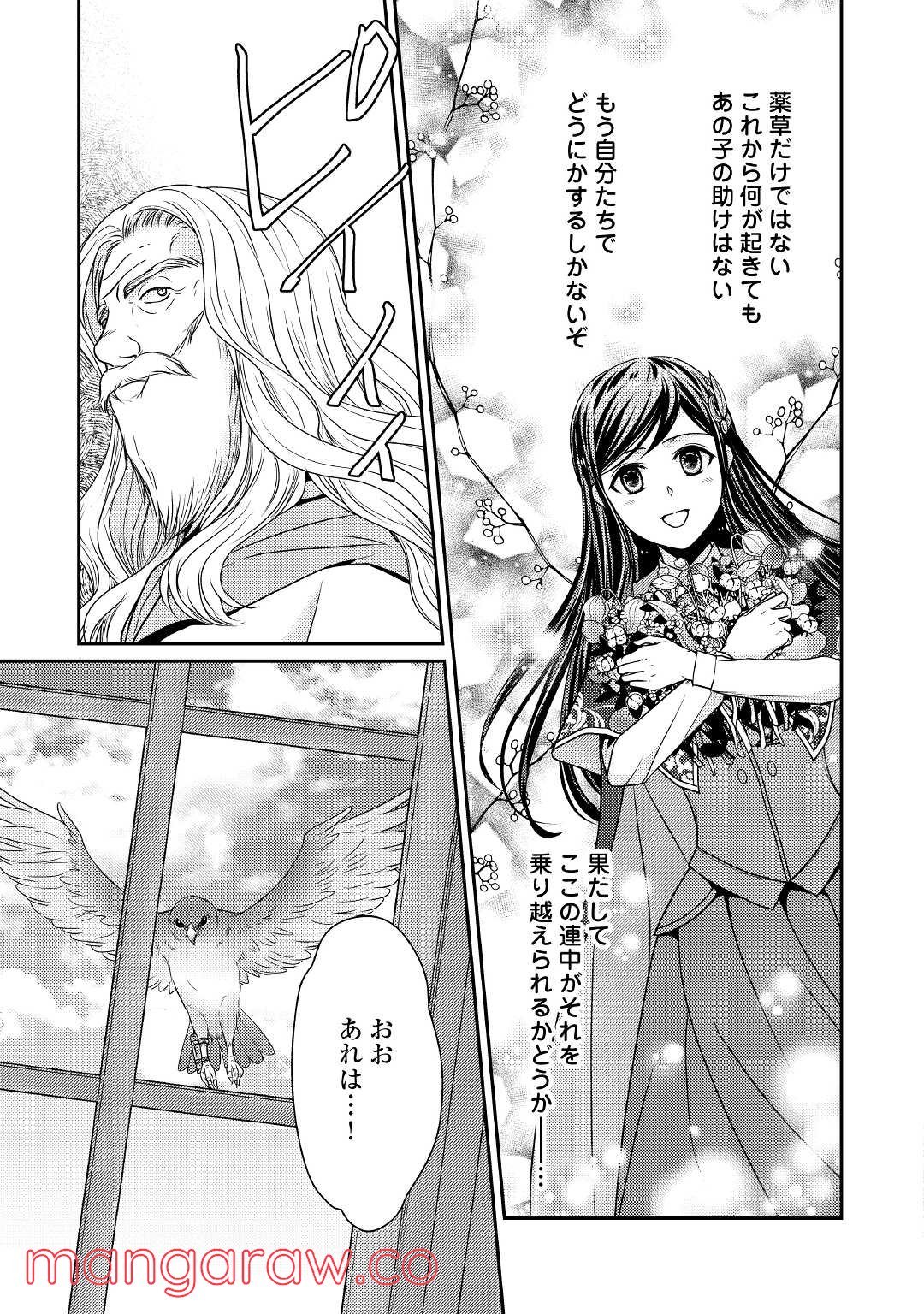 精霊守りの薬士令嬢は、婚約破棄を突きつけられたようです - 第3話 - Page 19