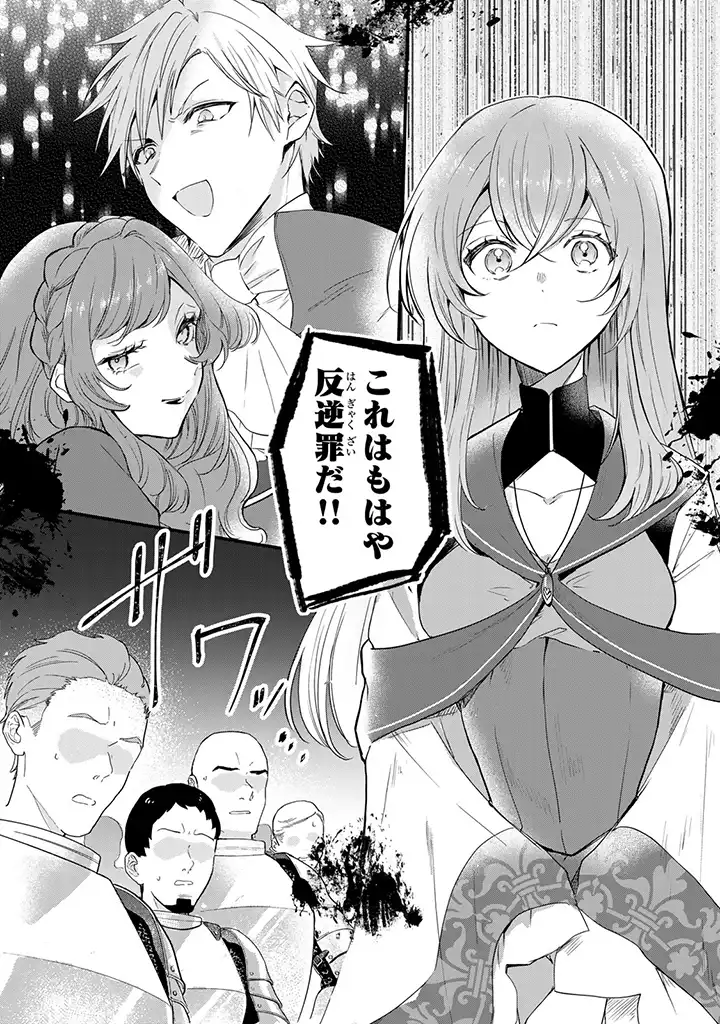 偽聖女だと生贄にされたら、魔王様に求婚されました～契約花嫁は精霊たちとスローライフを謳歌する～ 第1.1話 - Trang 8