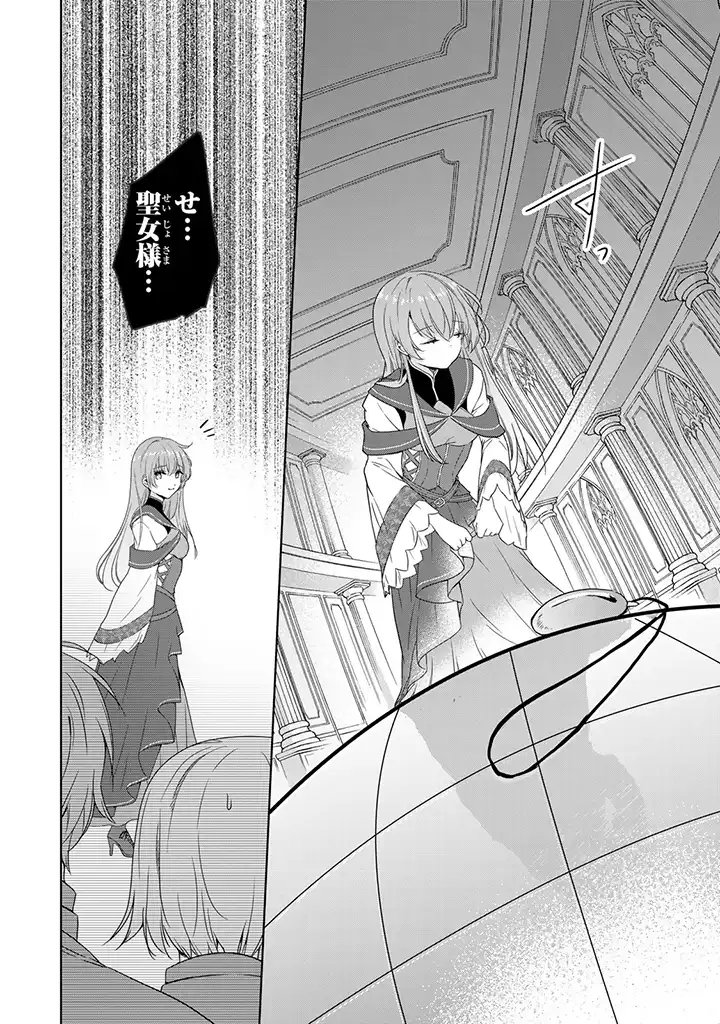 偽聖女だと生贄にされたら、魔王様に求婚されました～契約花嫁は精霊たちとスローライフを謳歌する～ 第1.1話 - Trang 10