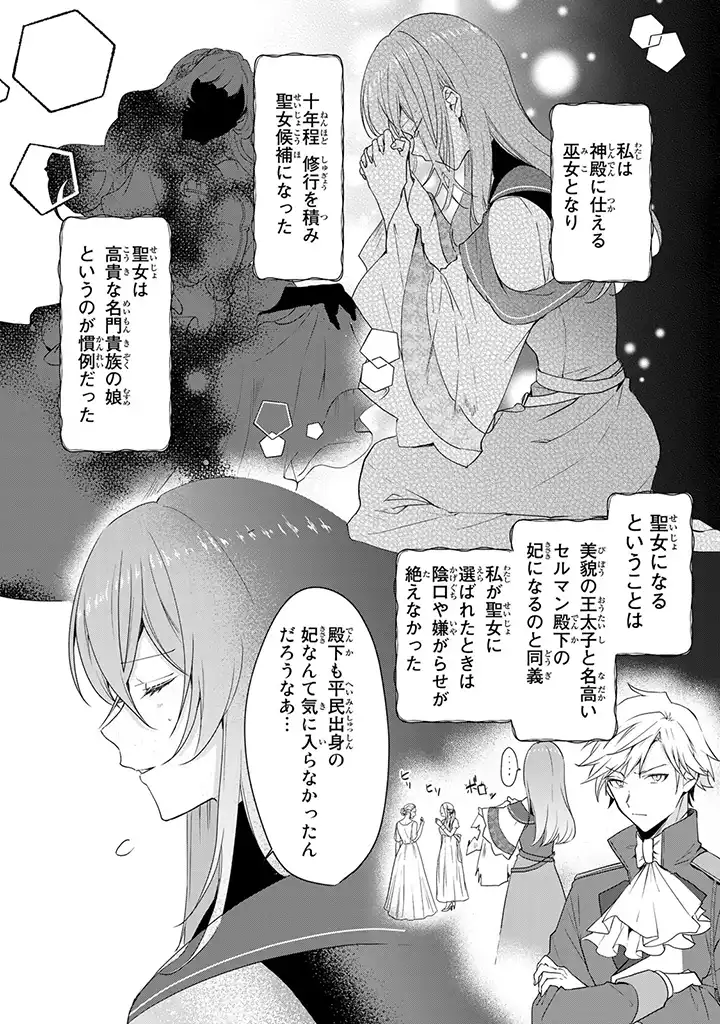 偽聖女だと生贄にされたら、魔王様に求婚されました～契約花嫁は精霊たちとスローライフを謳歌する～ 第1.2話 - Trang 12