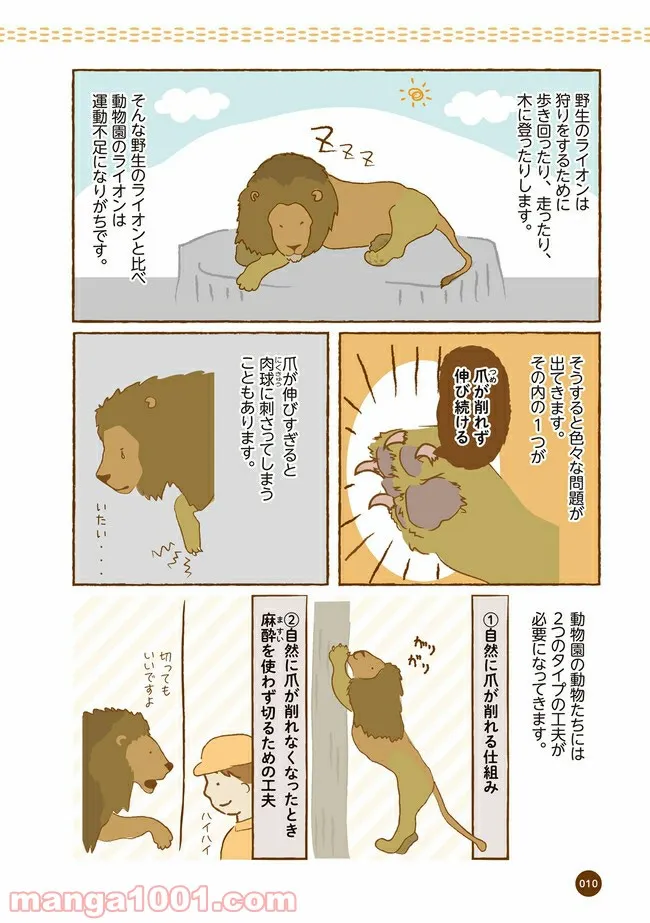 クマが肥満で悩んでます　動物園のヒミツ教えます - 第2話 - Page 3