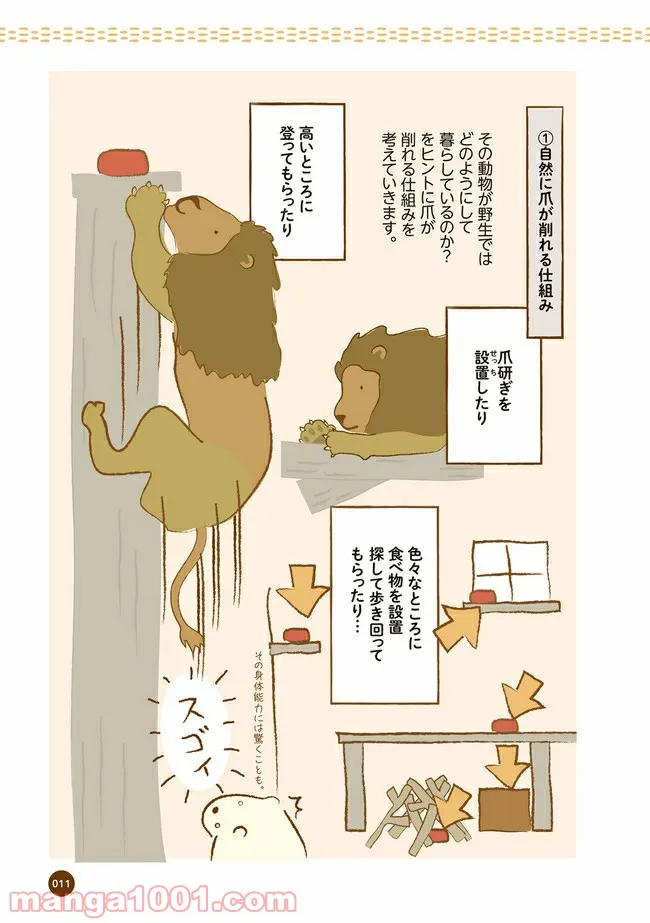 クマが肥満で悩んでます　動物園のヒミツ教えます - 第2話 - Page 4