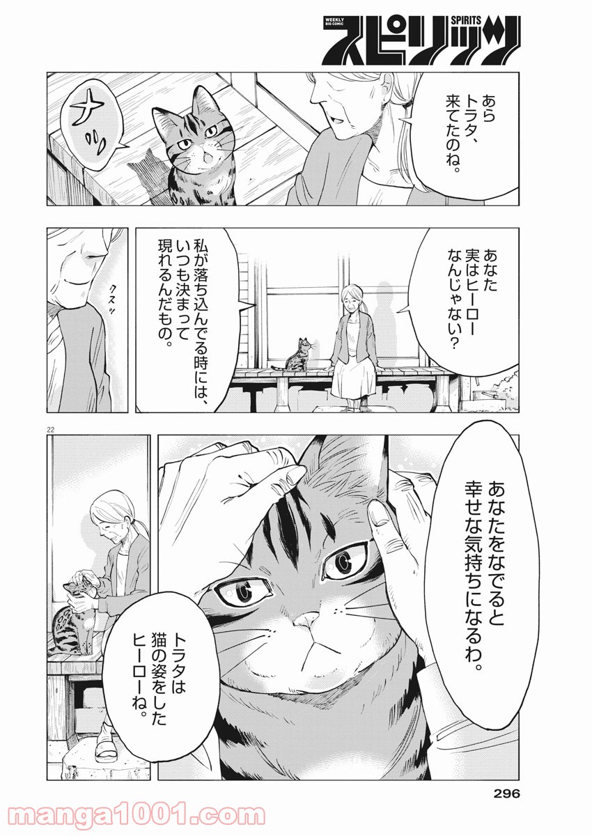 異世界猫と不機嫌な魔女 - 第1話 - Page 22