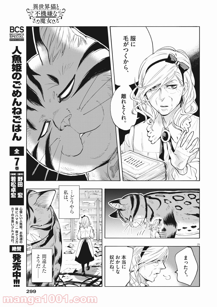 異世界猫と不機嫌な魔女 - 第1話 - Page 25