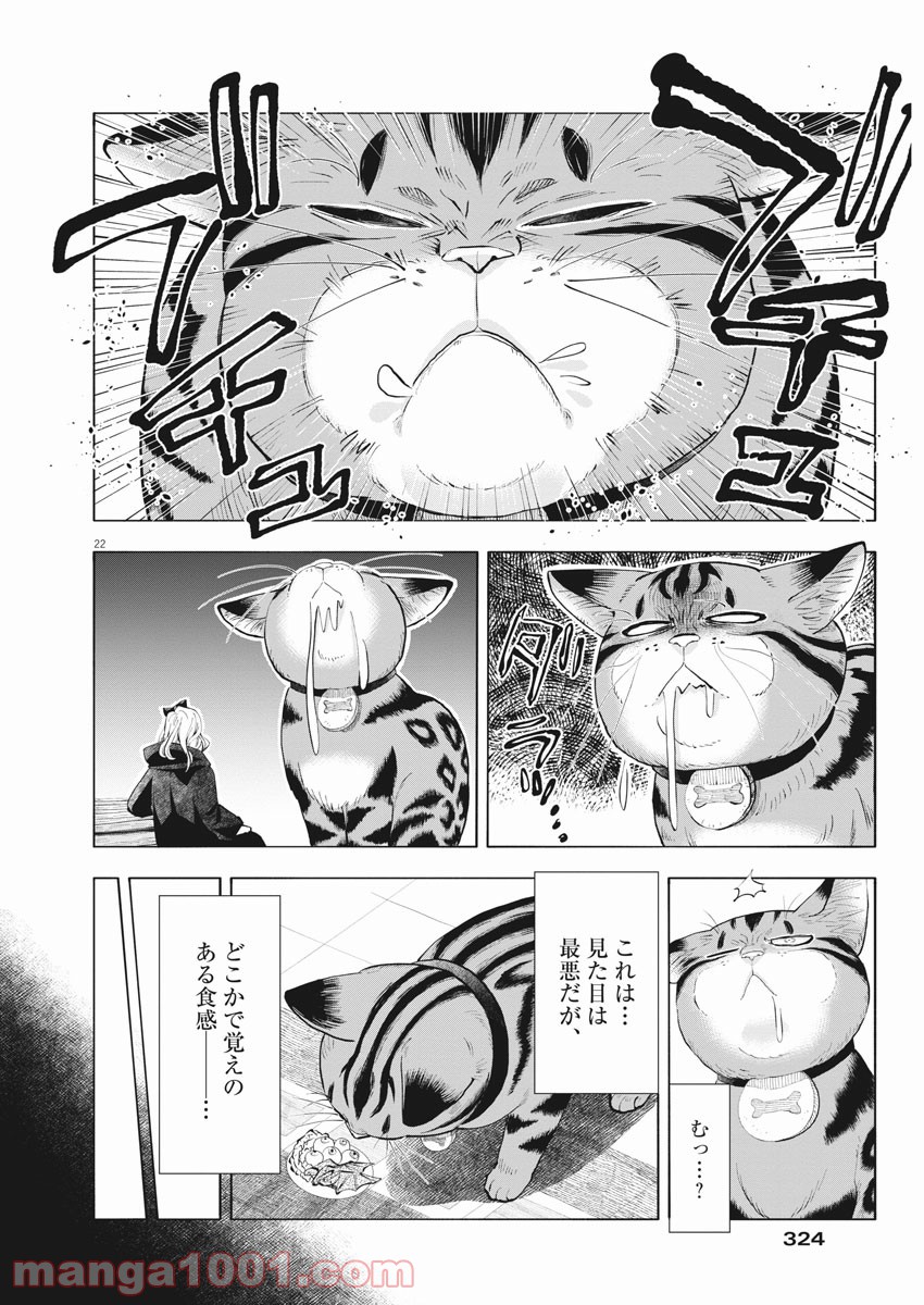 異世界猫と不機嫌な魔女 第2話 - Trang 22