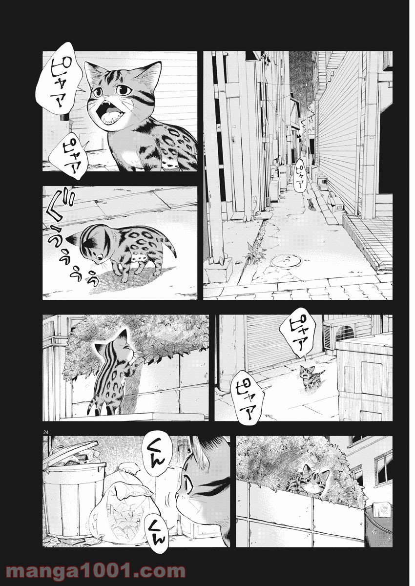 異世界猫と不機嫌な魔女 第2話 - Trang 24