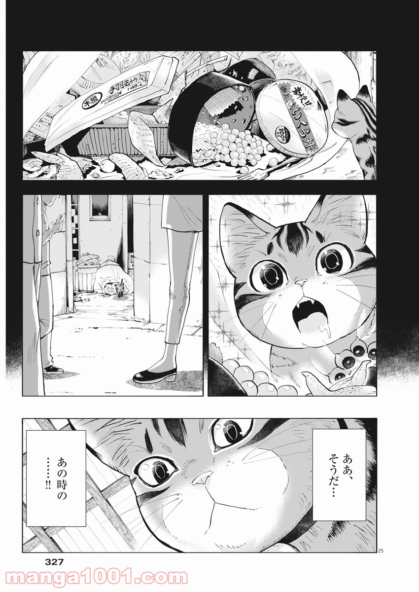 異世界猫と不機嫌な魔女 第2話 - Trang 25