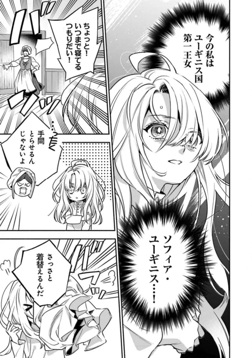 ハズレ姫は意外と愛されている? 第1.1話 - Trang 13