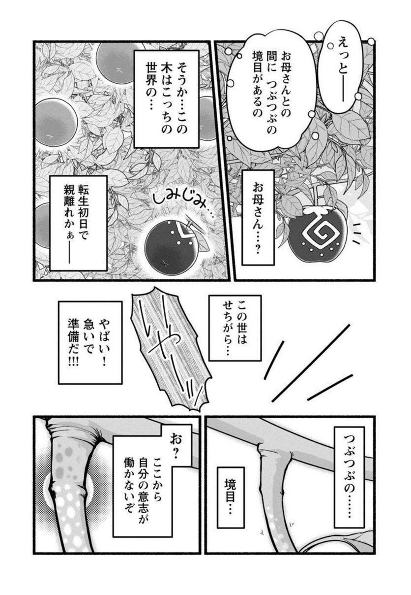 林檎転生 禁断の果実は今日もコロコロと無双する - 第3話 - Page 9