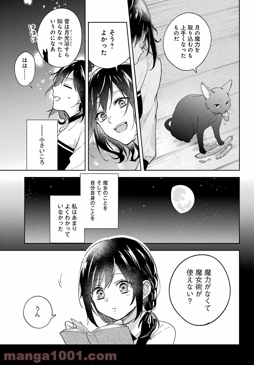 異世界でペンション始めました。世界で唯一の黒魔女ですが、この力はお客様のために使います。 第1話 - Trang 17