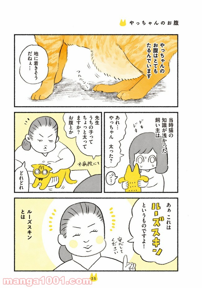 茶トラのやっちゃん 第5話 - Trang 1