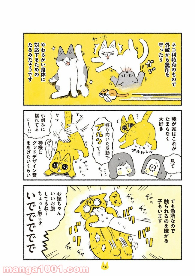 茶トラのやっちゃん 第5話 - Trang 2