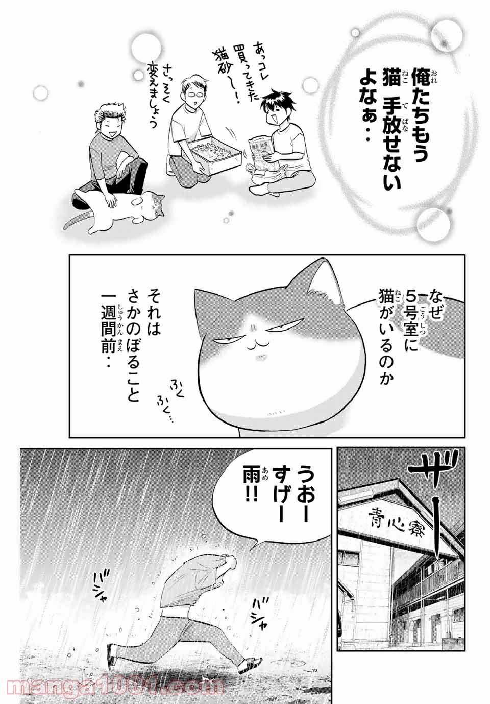 ダイヤのC!! 青道高校野球部猫日誌 - 第1話 - Page 5