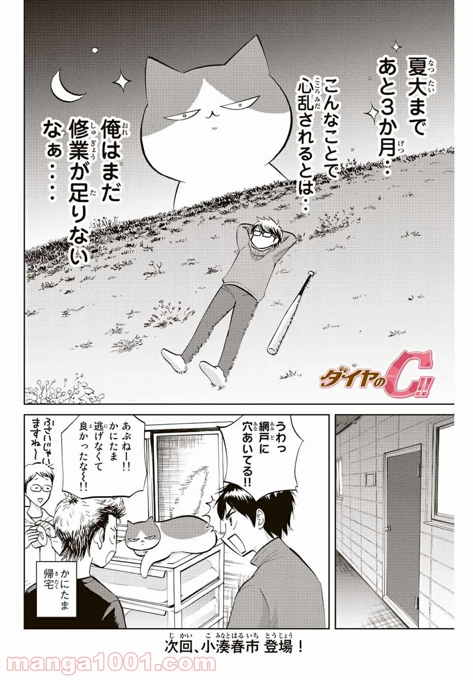 ダイヤのC!! 青道高校野球部猫日誌 - 第3話 - Page 8