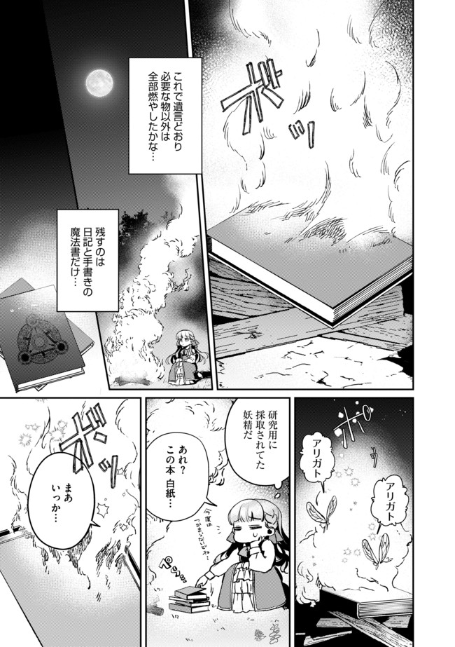 少女と猫とお人好しダークエルフの魔石工房 - 第2話 - Page 1