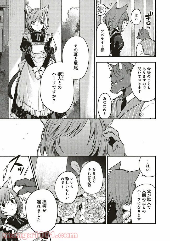 猫耳メイドと少年王子　暗殺ターゲットの王子様に恋をしました - 第1話 - Page 11