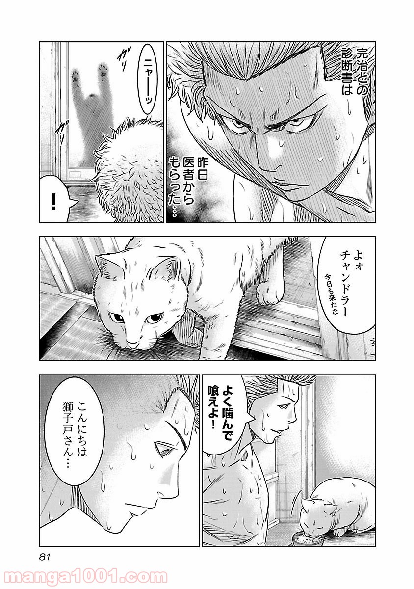 バウンサー - 第3話 - Page 5