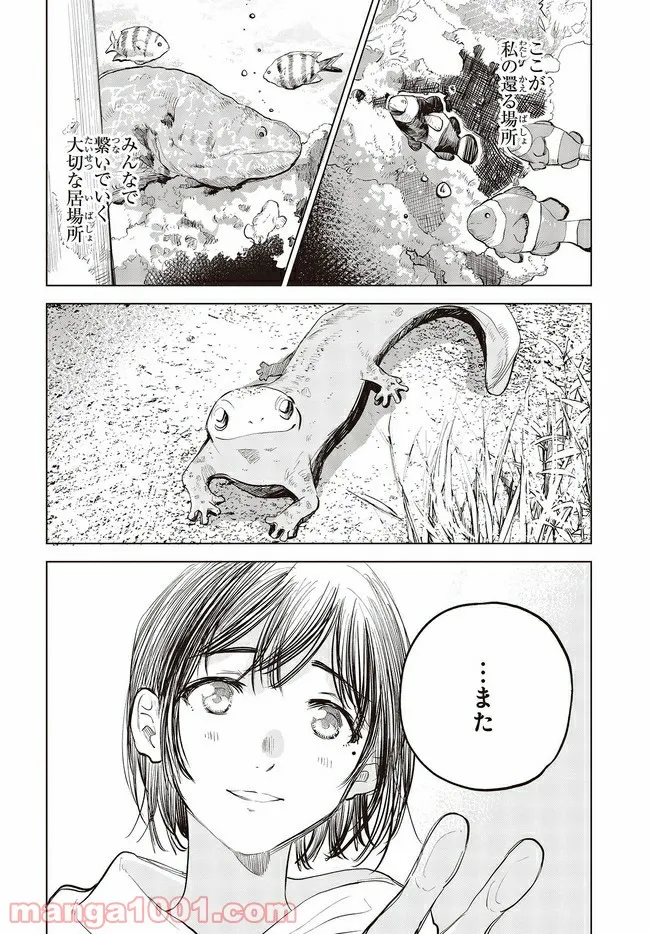 大樹海のモンスターパートナー ～浄化スキルで魔物保護生活～ - 第2話 - Page 10