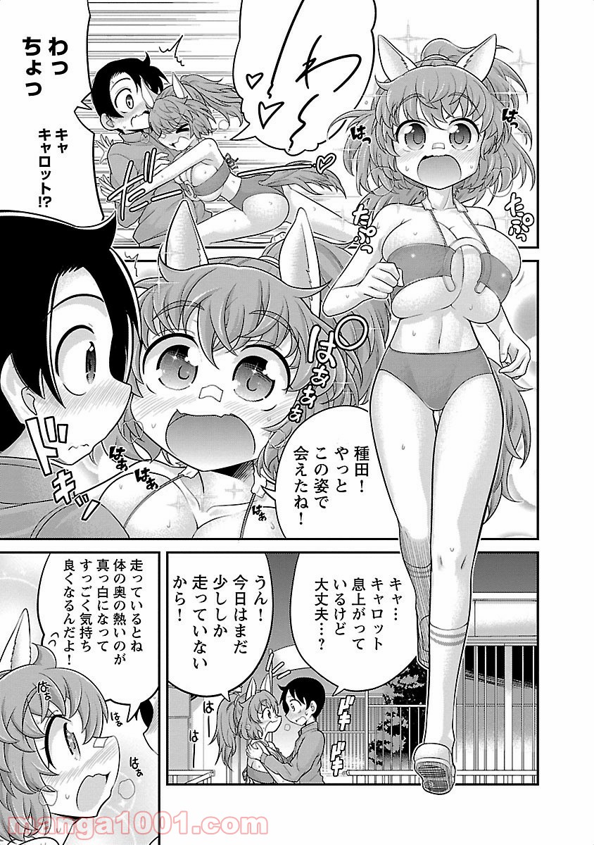 けもっ娘どーぶつえん! - 第3話 - Page 3