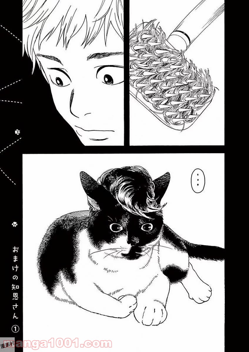 猫のお寺の知恩さん - 第47話 - Page 19