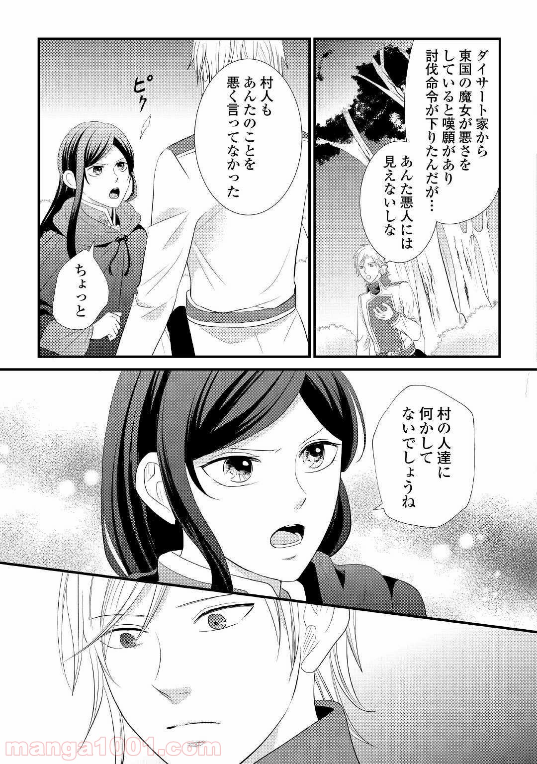 勘違い魔女は討伐騎士に愛される。 - 第1話 - Page 11