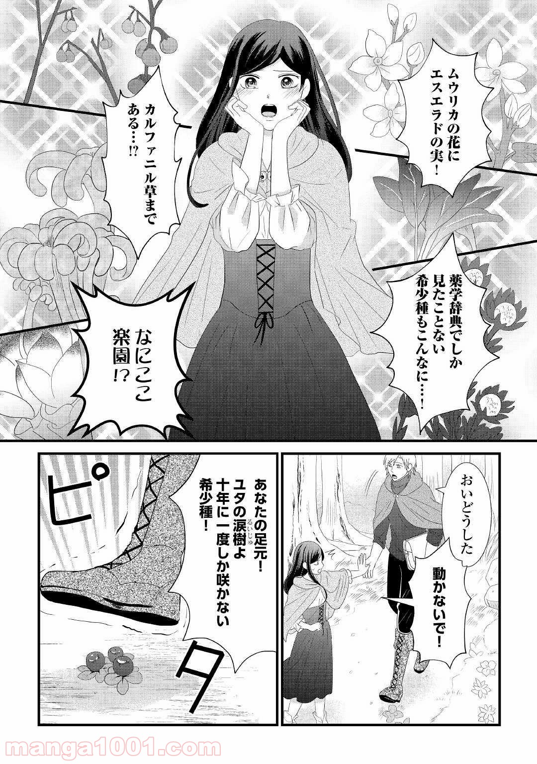 勘違い魔女は討伐騎士に愛される。 - 第3話 - Page 6