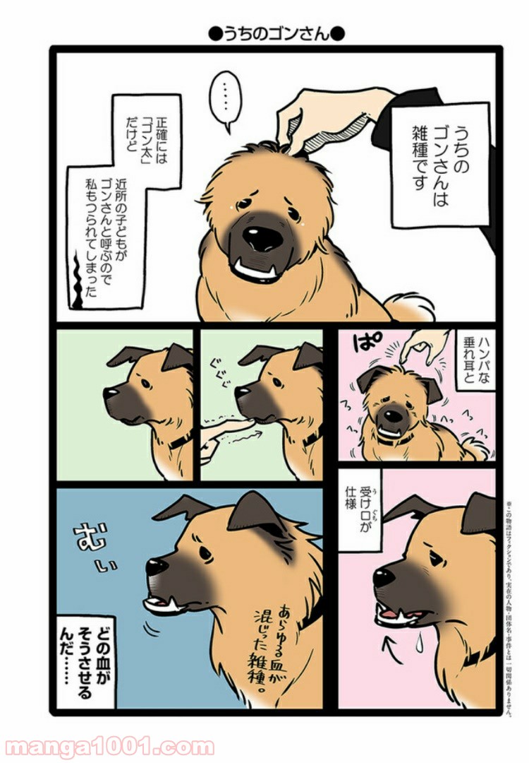 うちの雑種犬ゴンさんがダサかわいい - 第1話 - Page 2