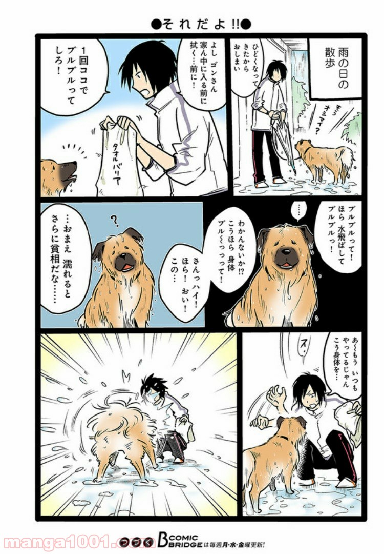 うちの雑種犬ゴンさんがダサかわいい - 第1話 - Page 12