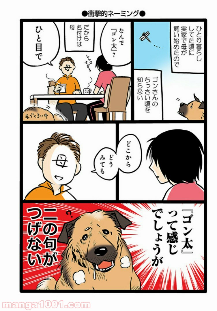 うちの雑種犬ゴンさんがダサかわいい - 第1話 - Page 4