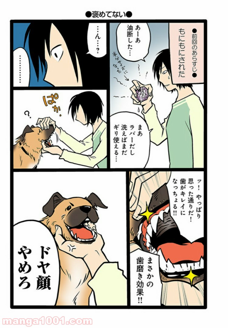 うちの雑種犬ゴンさんがダサかわいい - 第1話 - Page 9