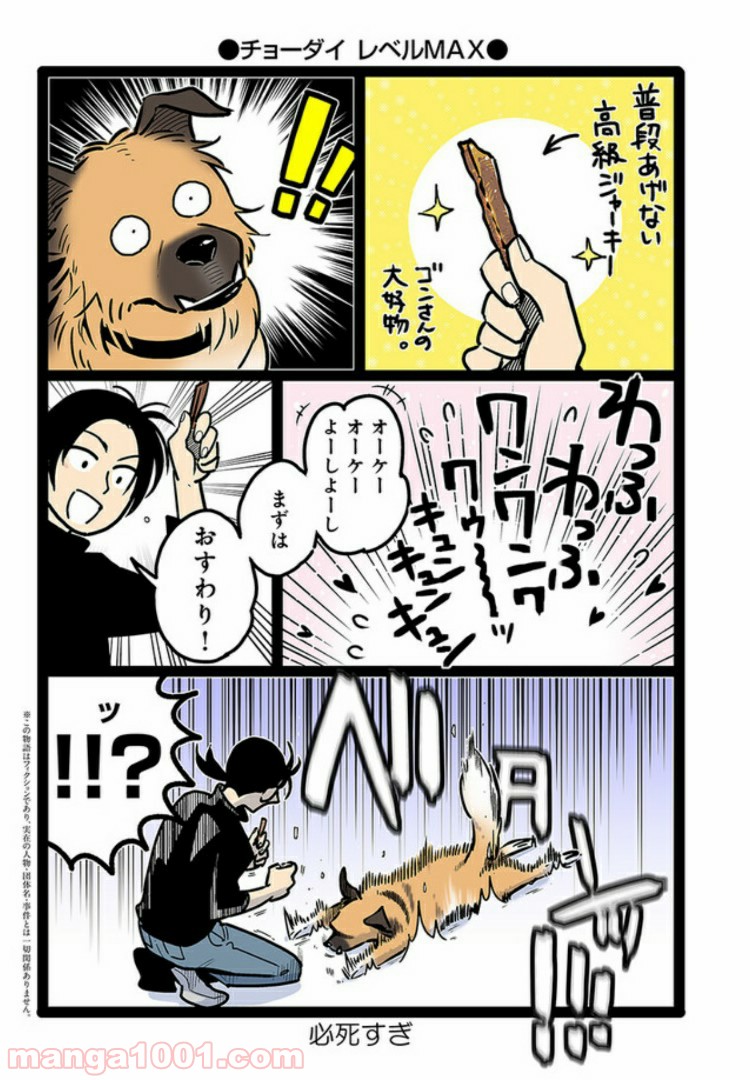 うちの雑種犬ゴンさんがダサかわいい - 第2話 - Page 1