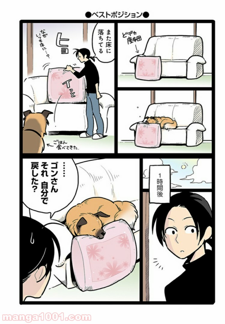 うちの雑種犬ゴンさんがダサかわいい - 第2話 - Page 2