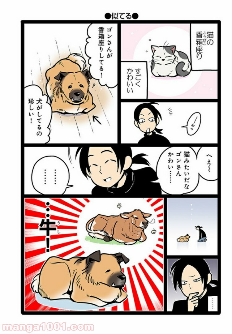 うちの雑種犬ゴンさんがダサかわいい - 第2話 - Page 4