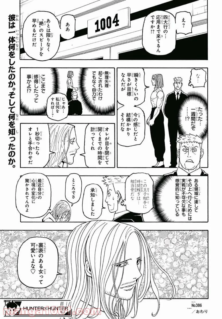 HUNTER X HUNTER - 第386話 - Page 19