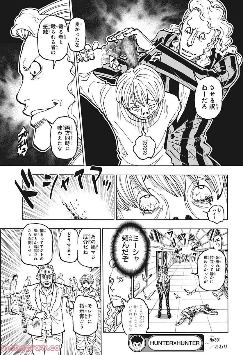 HUNTER X HUNTER - 第391話 - Page 21