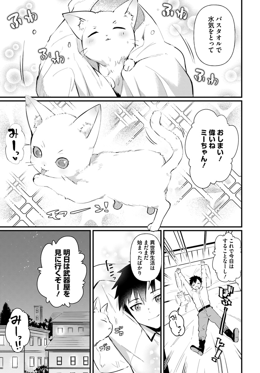 神猫ミーちゃんと猫用品召喚師の異世界奮闘記 - 第1話 - Page 29