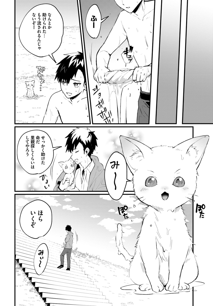 神猫ミーちゃんと猫用品召喚師の異世界奮闘記 - 第1話 - Page 8