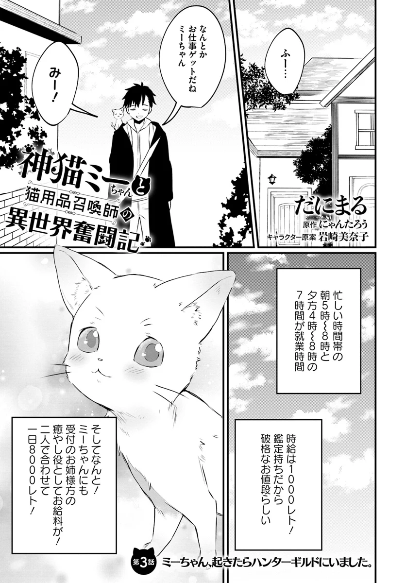 神猫ミーちゃんと猫用品召喚師の異世界奮闘記 - 第3話 - Page 1