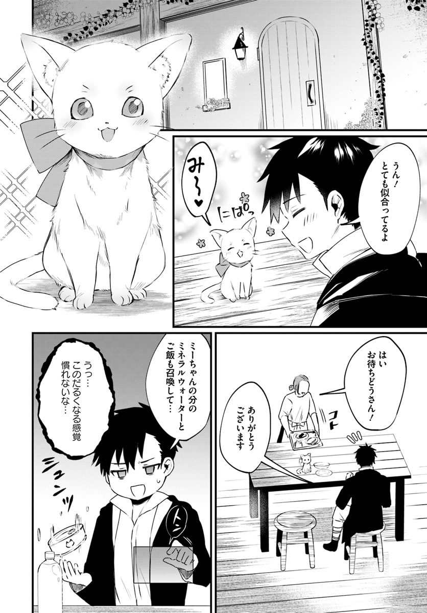 神猫ミーちゃんと猫用品召喚師の異世界奮闘記 - 第3話 - Page 6